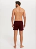 Zeman bedruckte Herren-Boxershorts