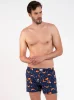  Bedruckte Herren-Boxershorts von Witalis
