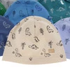 Herbst und Frühlingsmütze für Jungen Light Blau Jovik