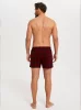 Zeman bedruckte Herren-Boxershorts