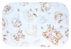 Flanellwindeln 70x80 - Teddy Hirsch auf einer Wolke von rosa Hintergrund